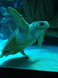 Oh, hello there! Thanks for stopping by!